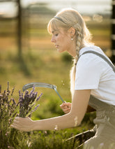 Book A Photoshoot In Our Lavender Field