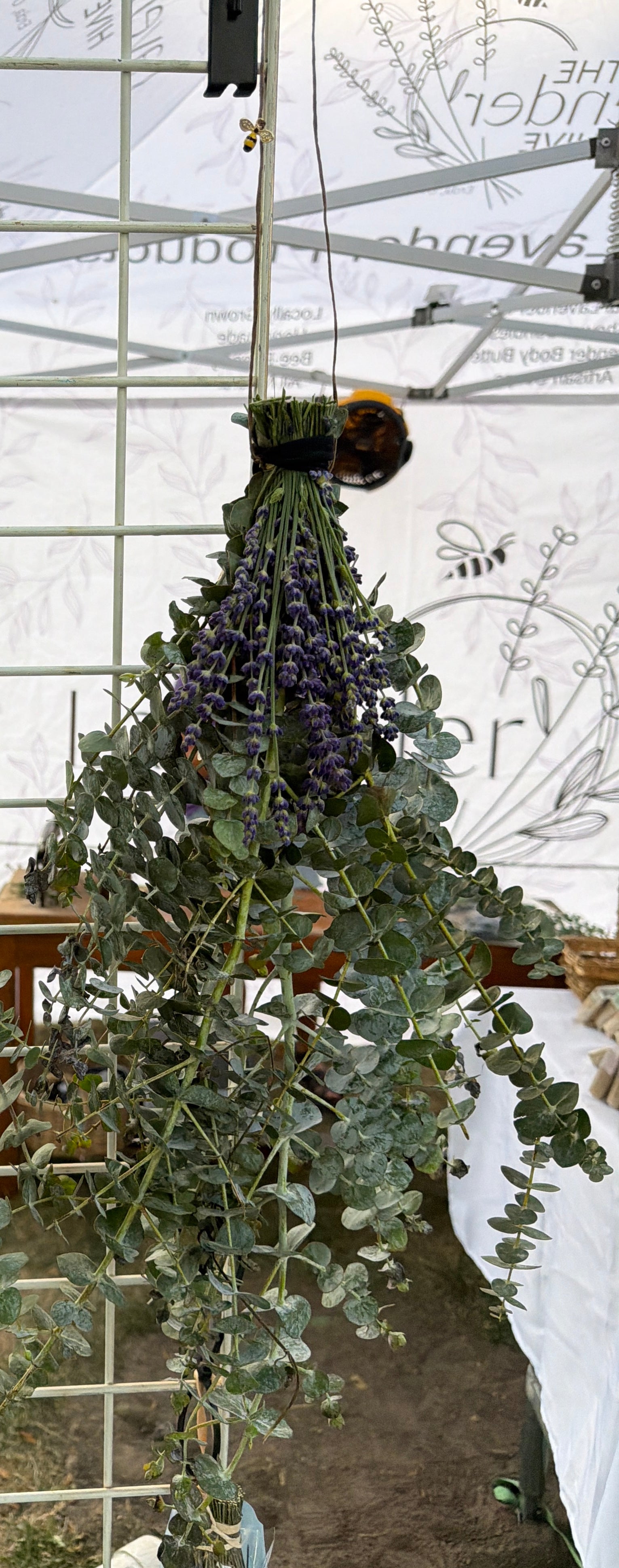 Lavender Eucalyptus Shower Bundles