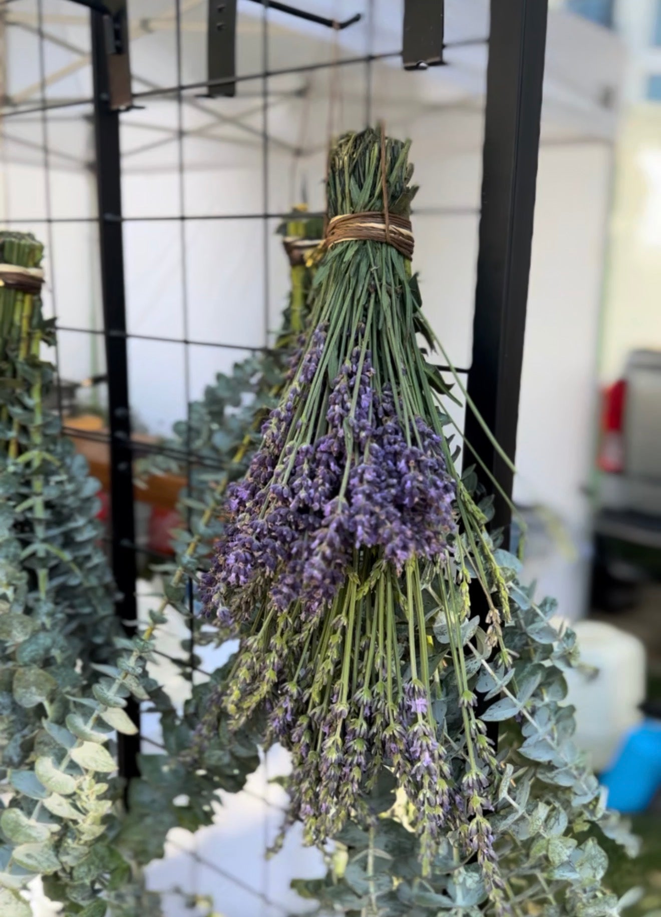 Lavender Eucalyptus Shower Bundles